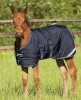 Foal Rugs